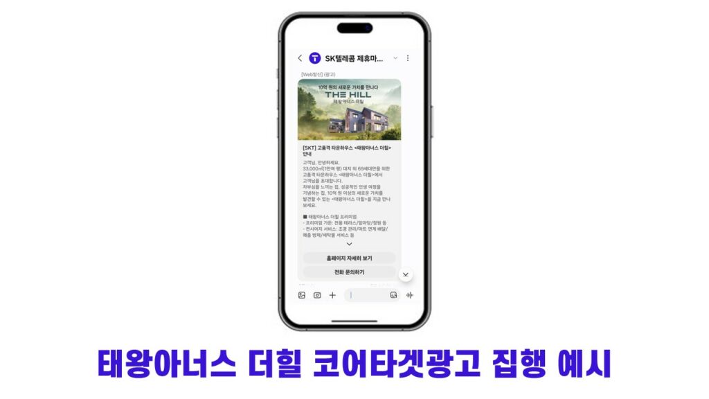 태왕아너스 더힐 코어타겟광고 집행 예시